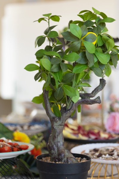 neoprodwedding.com-17.jpg