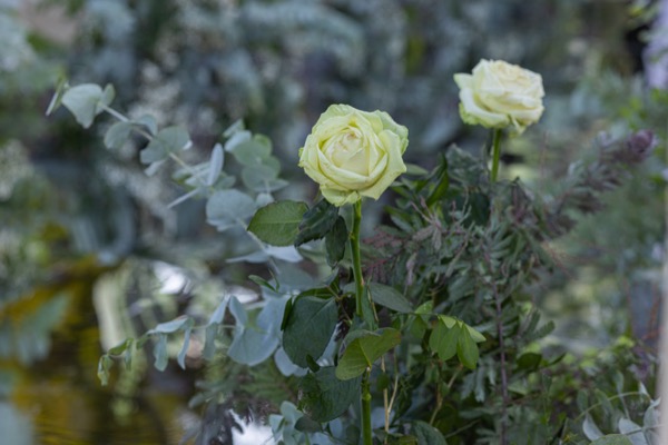 neoprodwedding.com-144.jpg